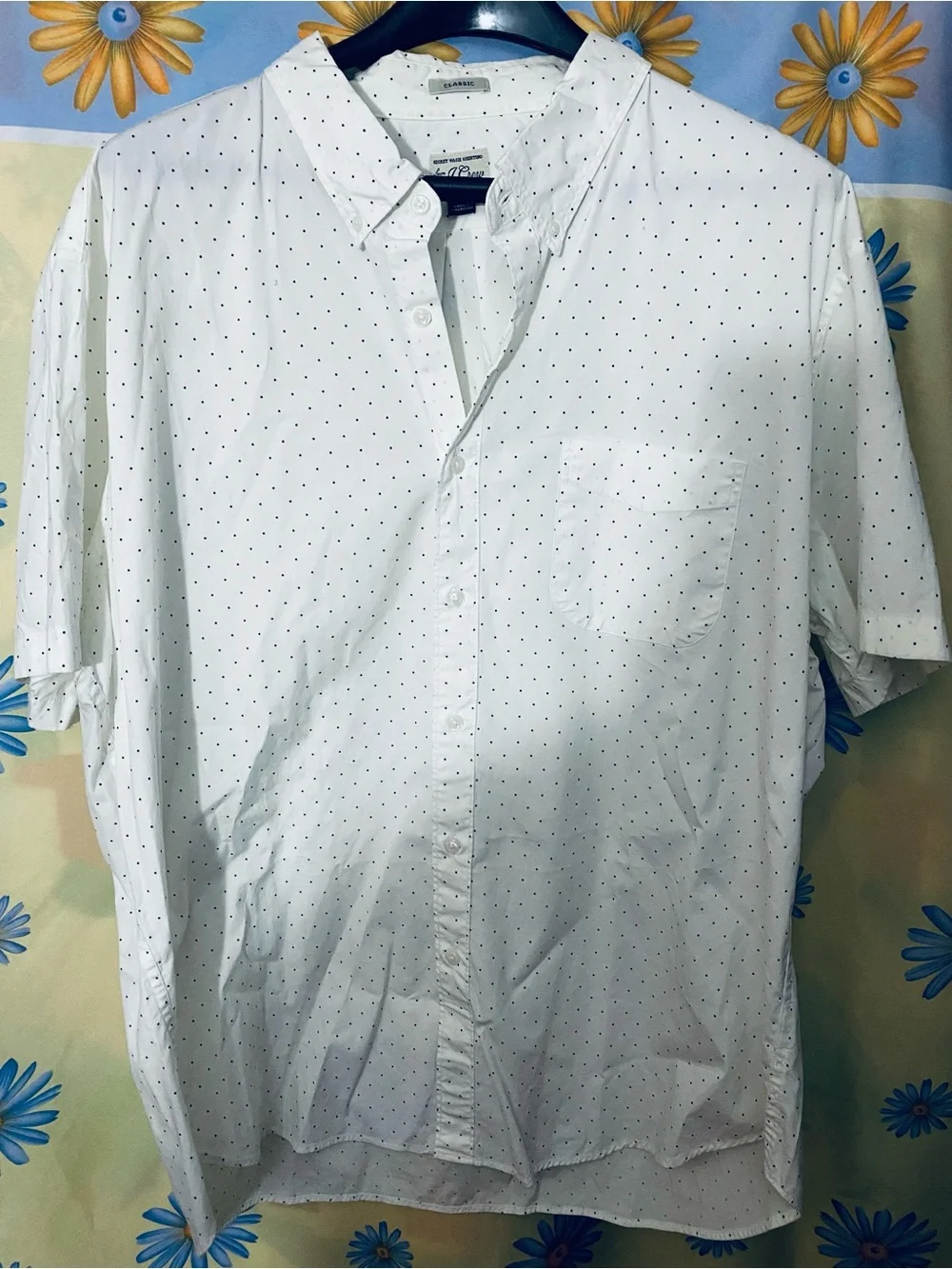J. Crew Navy Wave-Print Button-Down & White Micro Dot Shirt